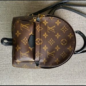 Louis Vuitton Palm Springs Mini